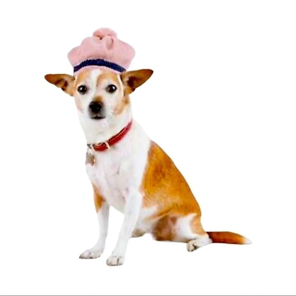 New! Bond & Co Pet Dog Pink Tweed Beanie Pompom Hat